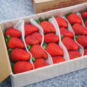 Hộp carton đựng dâu tây