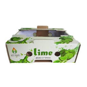 Thùng carton đựng chanh