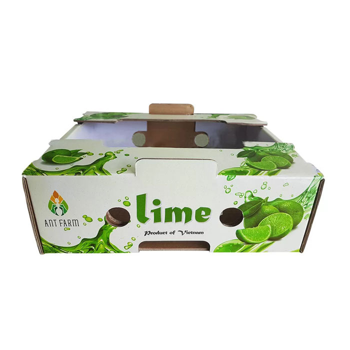 Thùng carton đựng chanh