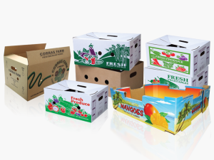 Sản xuất thùng carton, hộp carton giá rẻ tại Bắc Ninh